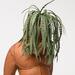 De Botanist